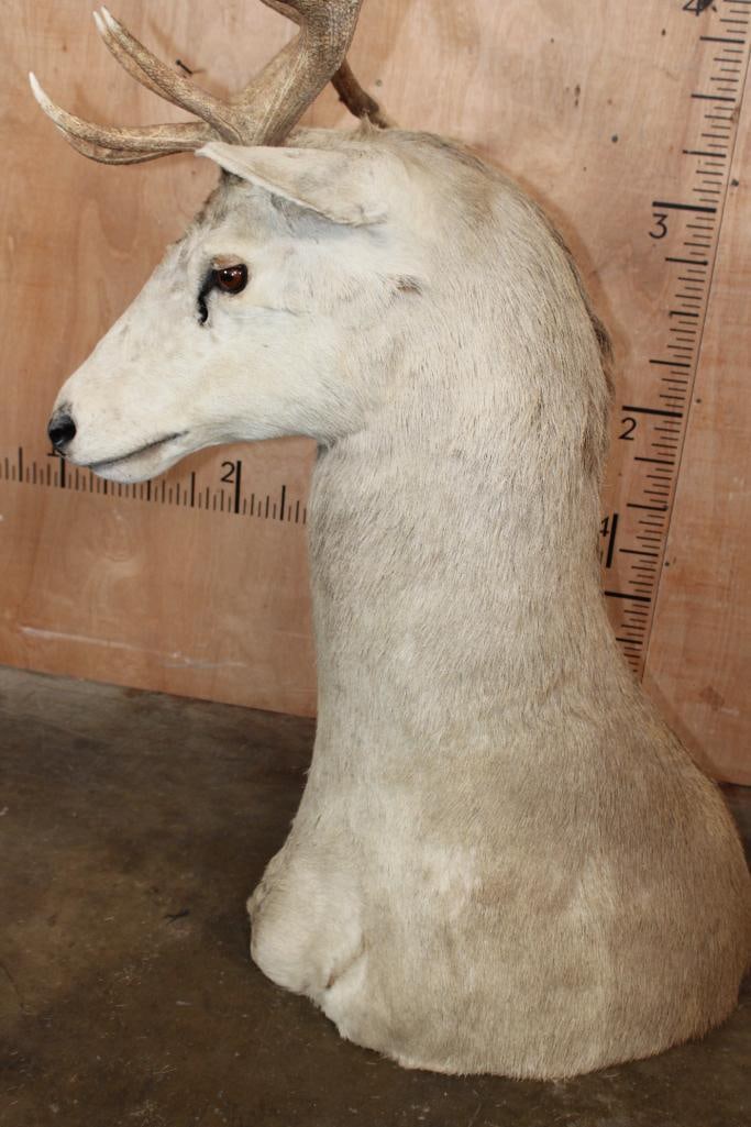 16-Point RED STAG Floor Pedestal Mount - 4