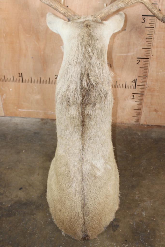 16-Point RED STAG Floor Pedestal Mount - 5