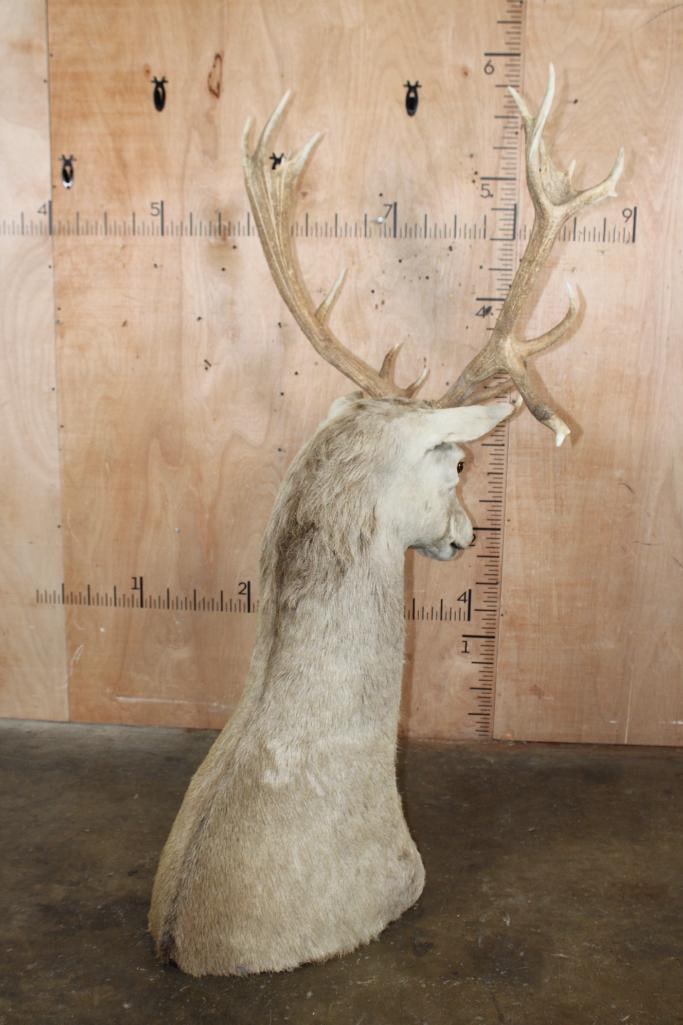 16-Point RED STAG Floor Pedestal Mount - 6