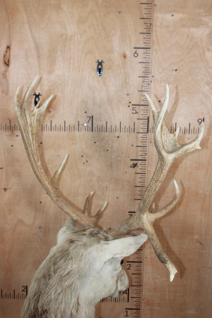 16-Point RED STAG Floor Pedestal Mount - 7