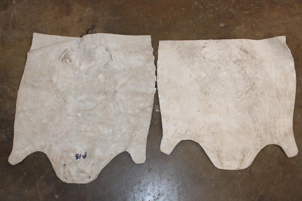 (2) ZEBRA Head Hide Sections - 2