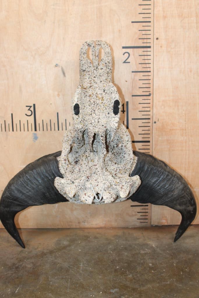 SAVANNAH BUFFALO Skull with a "Rock Spray" Texture Finish - 6