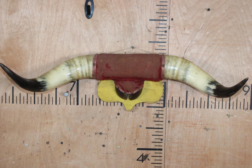Vintage STEER Horns Mounted a Wood Plaque with a Hoof: Vintage STEER Horns with a 28 5/8" Spread. They are mounted a Wood Plaque with 1 Hoof. TAXIDERMY 