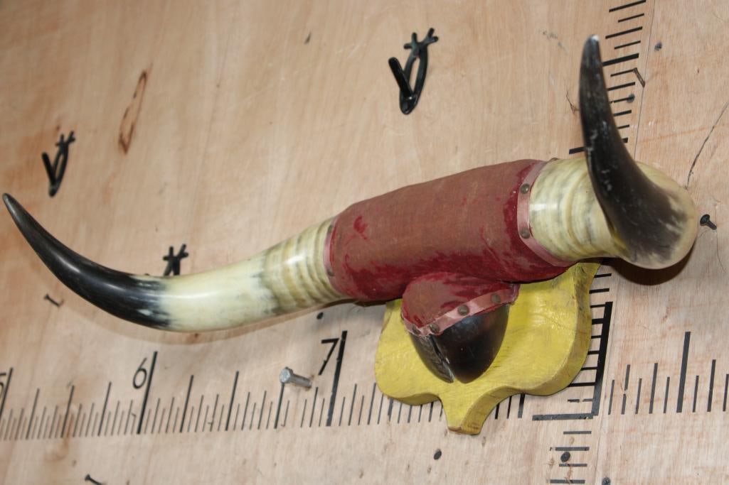 Vintage STEER Horns Mounted a Wood Plaque with a Hoof - 3