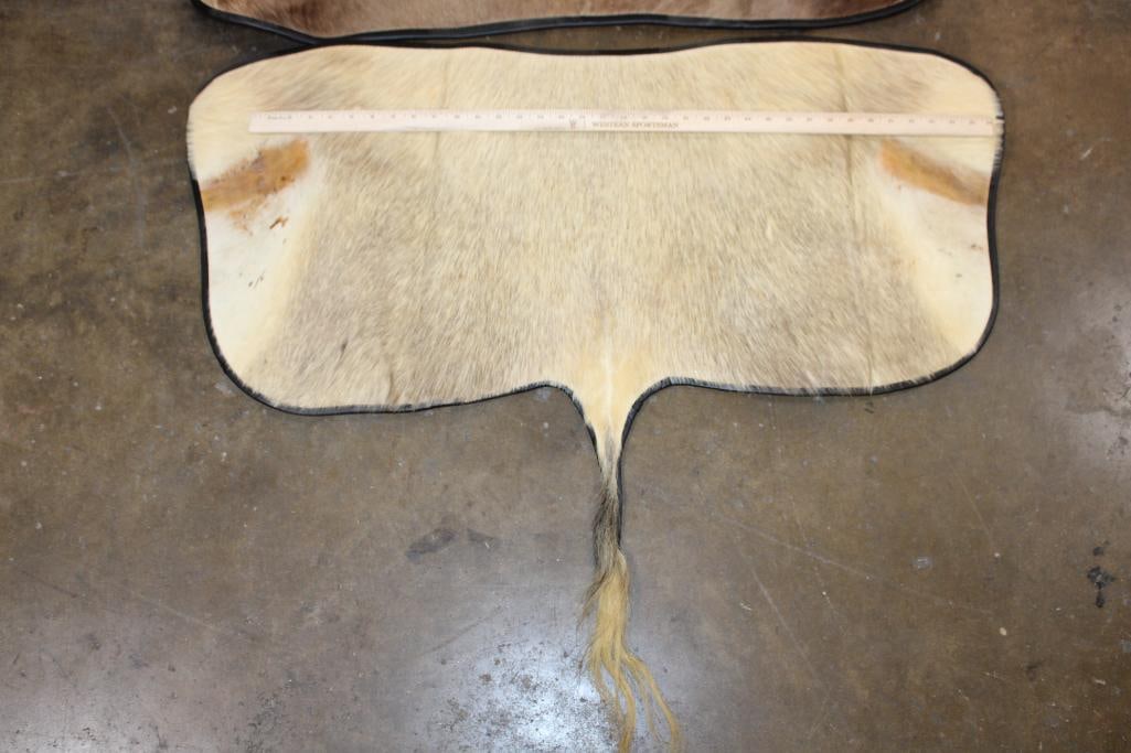 (1) BLESBOK Back Hide Rug and (1) WHITE BLESBOK Hide Rug with Carpet Backing and Leather Piping - 4
