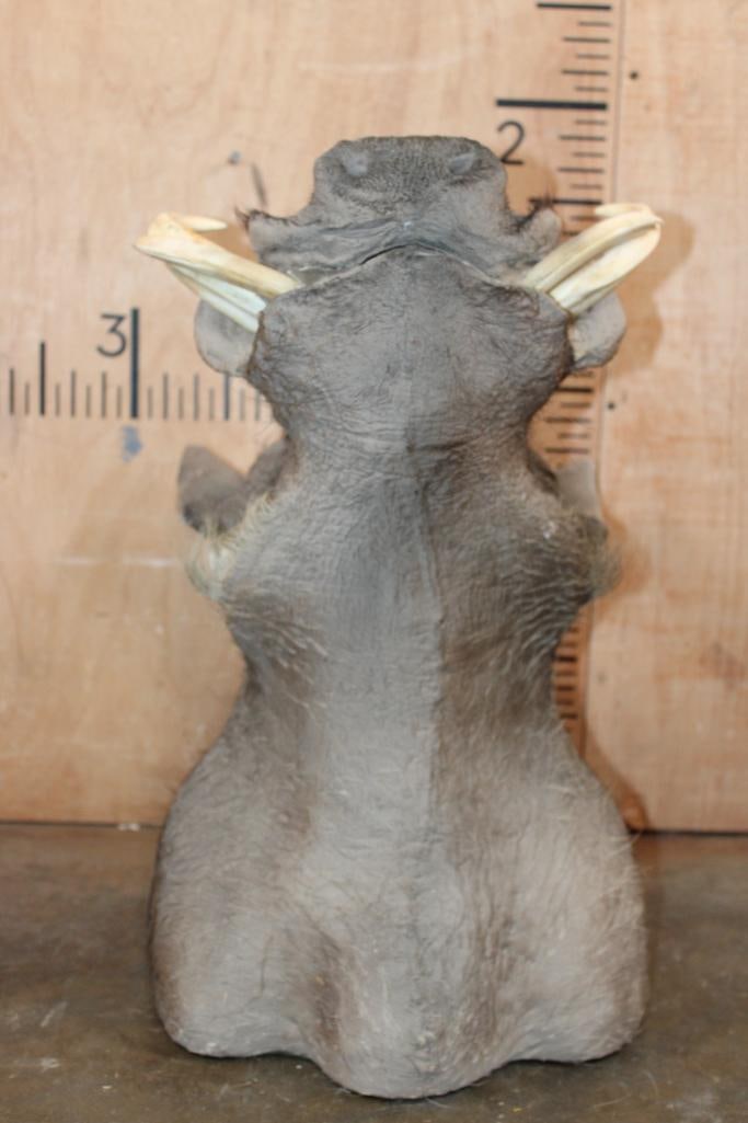 WARTHOG Shoulder Mount - 4