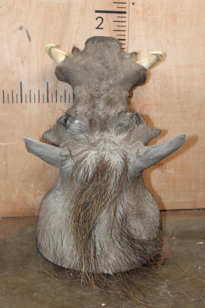 WARTHOG Shoulder Mount - 5