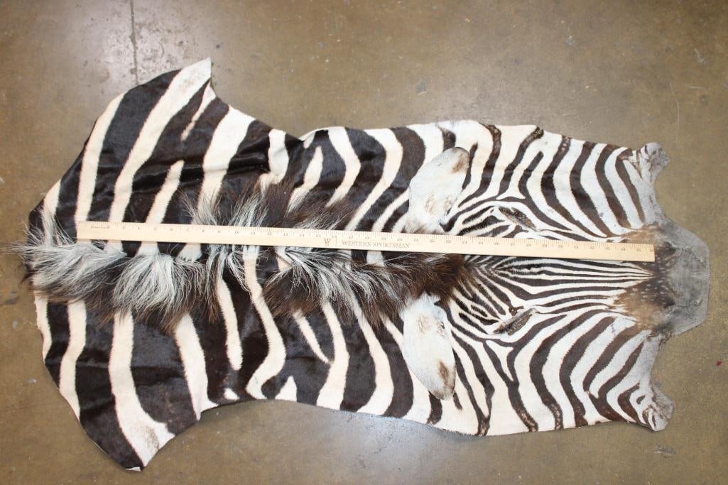 ZEBRA HEAD Hide Section - 2
