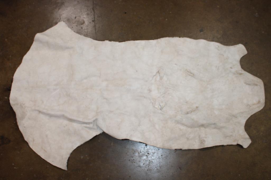 ZEBRA HEAD Hide Section - 3