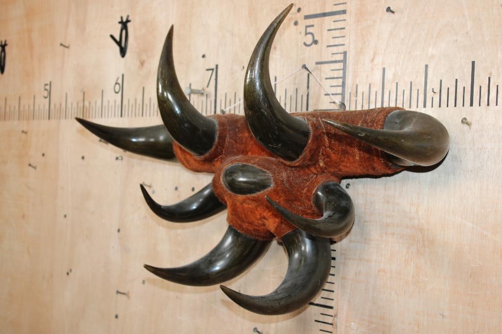 STEER Horn Set Sculpture with 8 Total Horns - 2
