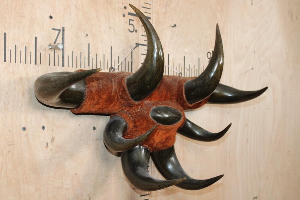 STEER Horn Set Sculpture with 8 Total Horns - 3