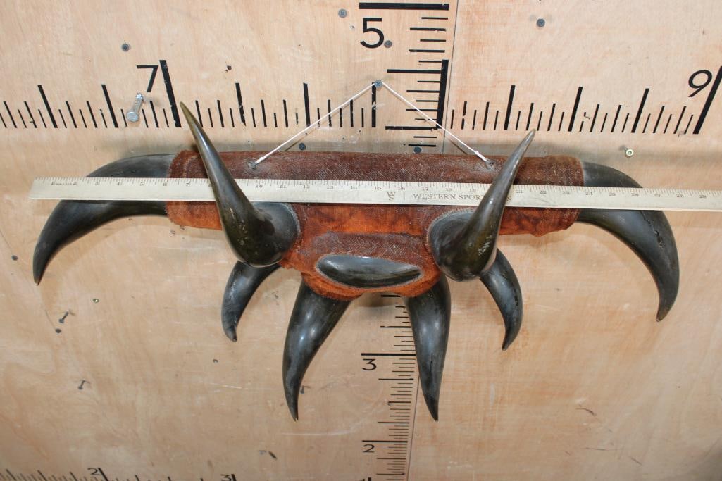 STEER Horn Set Sculpture with 8 Total Horns - 4