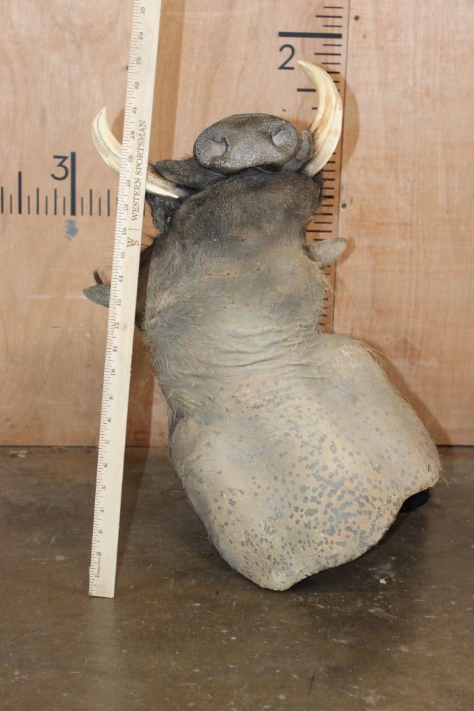 WARTHOG Wall Pedestal Mount - 5