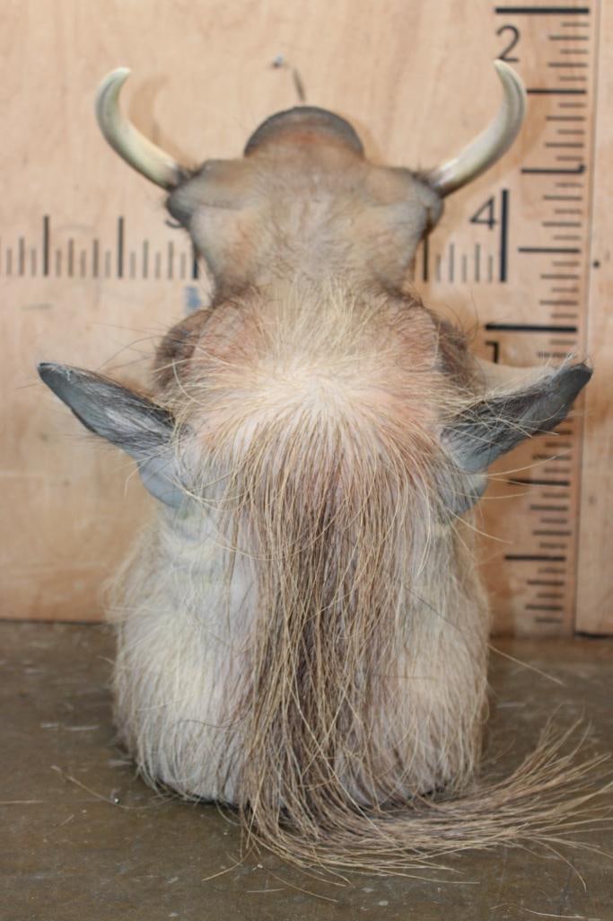 WARTHOG Shoulder Mount - 6