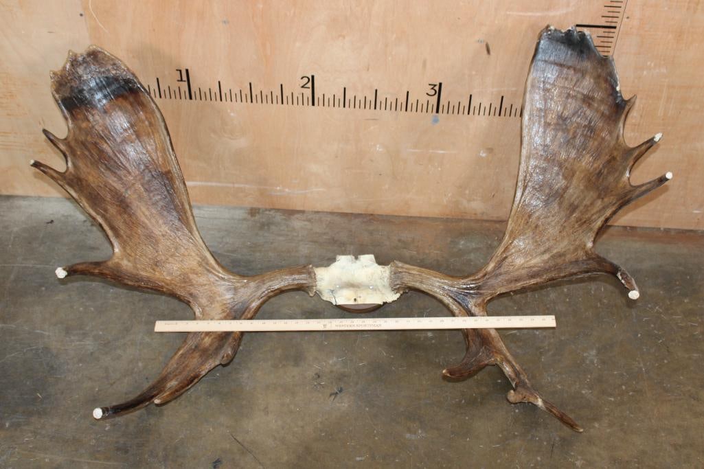 15-Point MOOSE Rack - 2