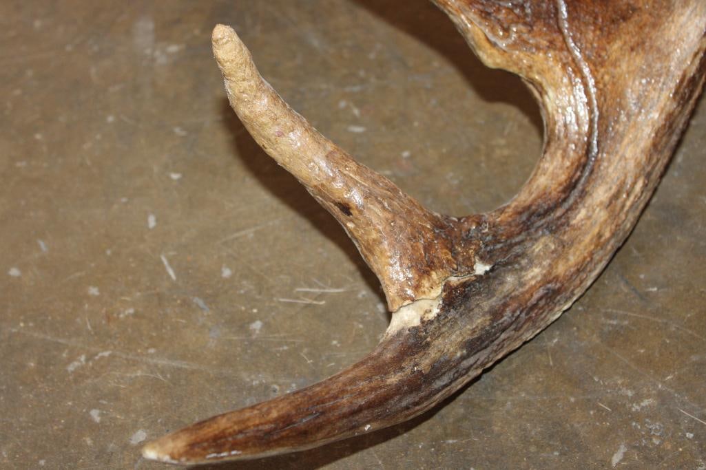 15-Point MOOSE Rack - 4