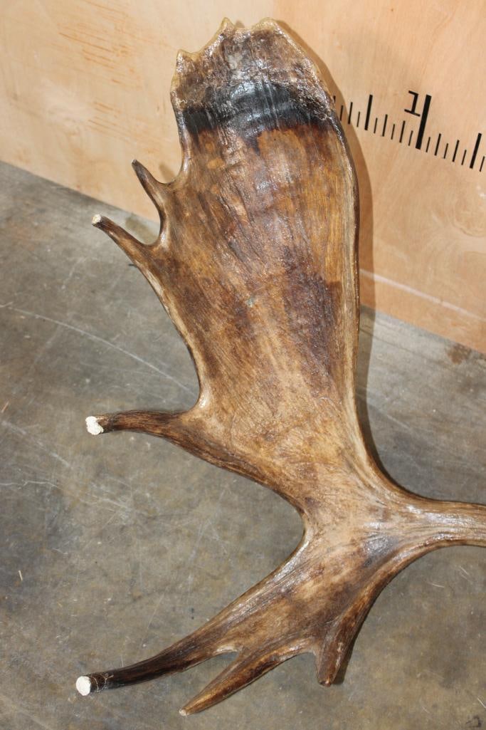 15-Point MOOSE Rack - 5