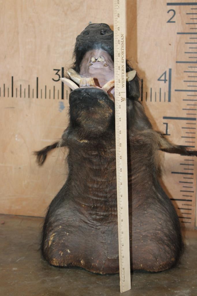 BUSHPIG Shoulder Mount - 4