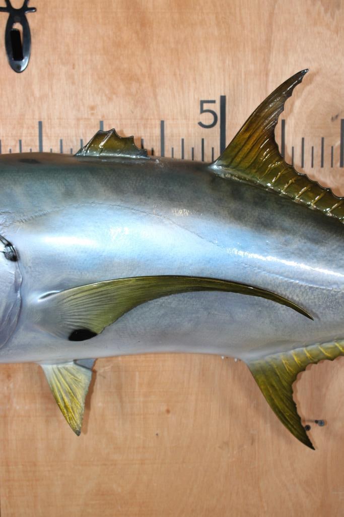Reproduction YELLOWFIN TUNA Fish Mount - 3