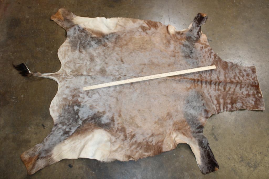 Soft and Clean TSESSEBE Hide - 2