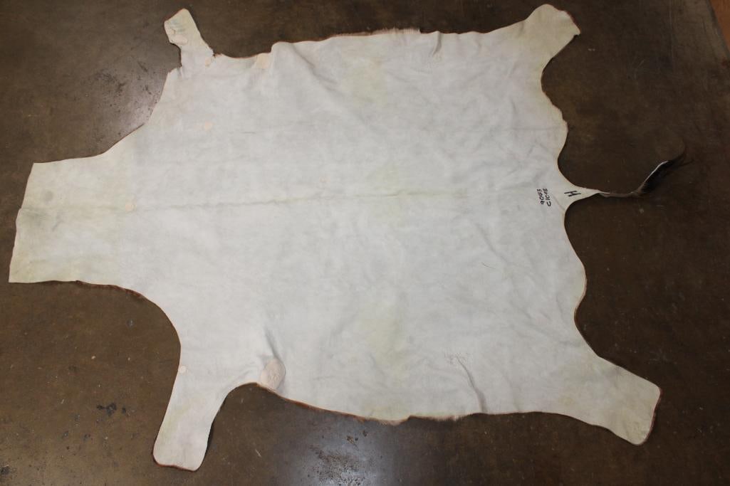 Soft and Clean TSESSEBE Hide - 3
