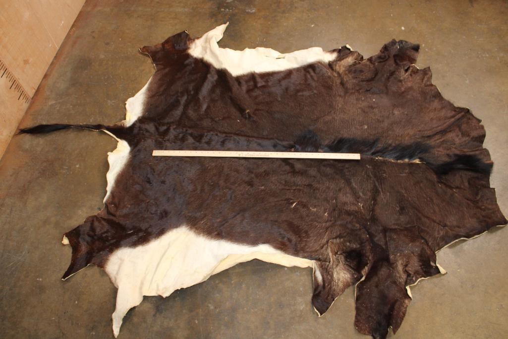 SABLE Hide or SABLE Rug - 2