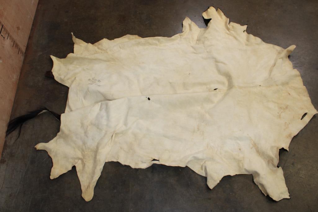 SABLE Hide or SABLE Rug - 3