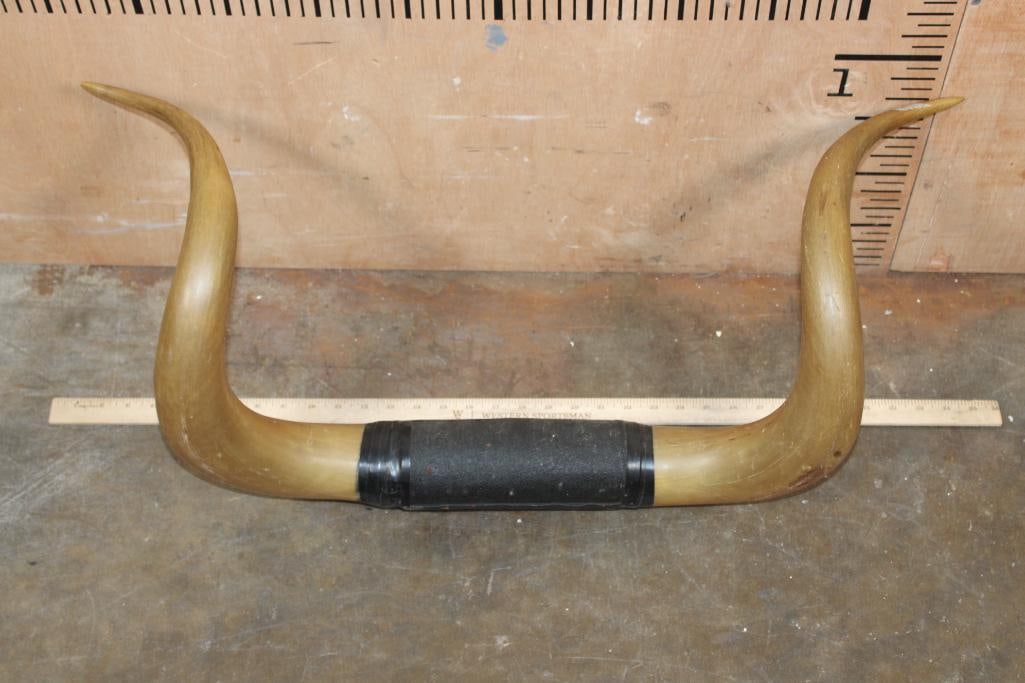 Vintage Polished STEER or BULL Horns with a Leather Wrapped Center - 2
