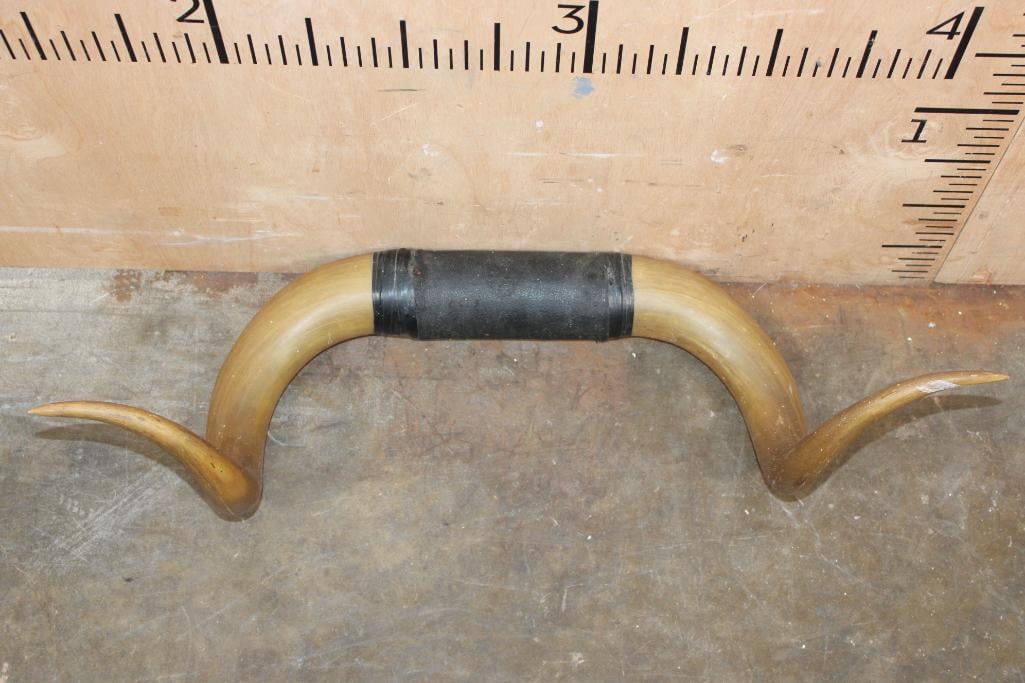 Vintage Polished STEER or BULL Horns with a Leather Wrapped Center - 3