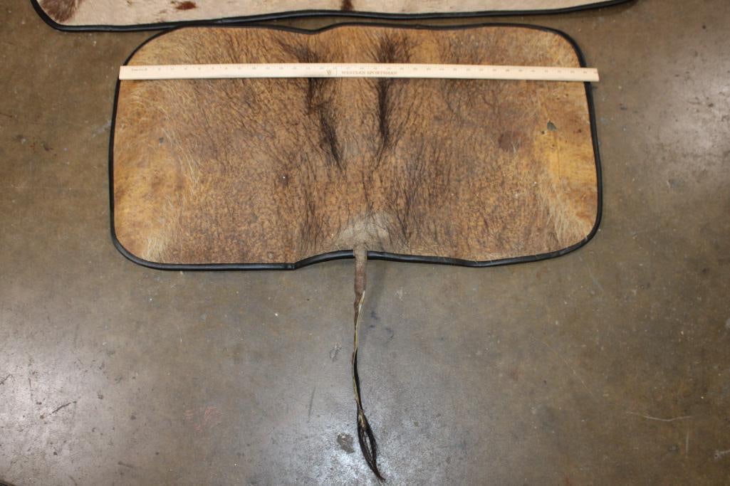 (1) GEMSBOK Back Hide Rug and (1) WARTHOG Back Hide Rug - 3