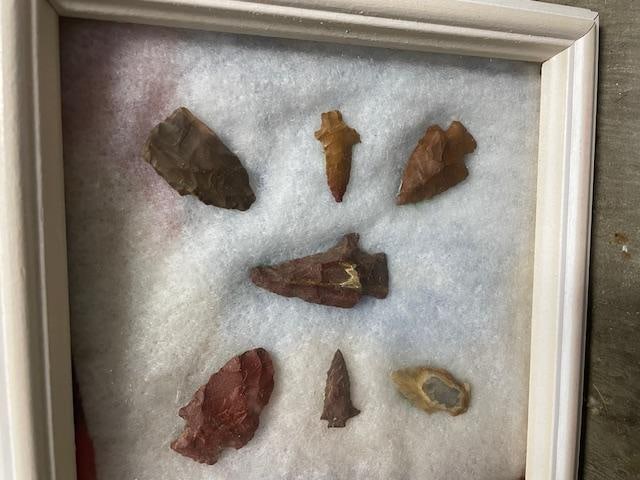 (14) Native American Bird Points or ARROWHEADS in (2) Wood and Glass Display Cases - 3