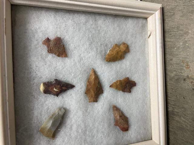 (14) Native American Bird Points or ARROWHEADS in (2) Wood and Glass Display Cases - 4