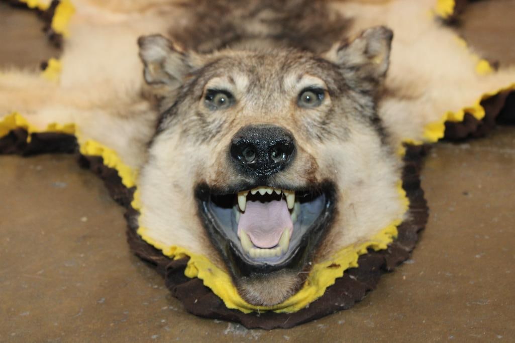 WOLF Rug with Double Felted Backing - 2