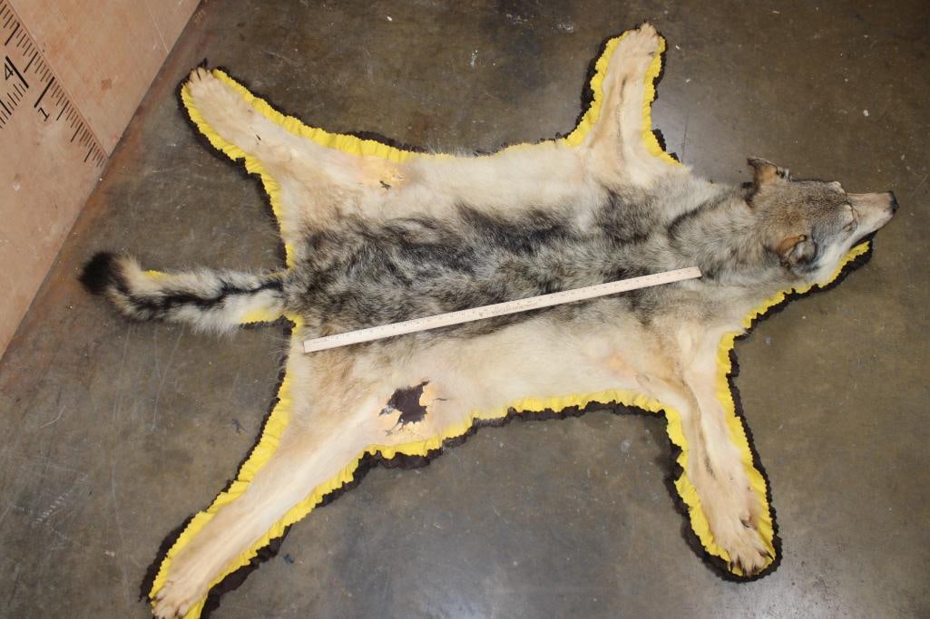 WOLF Rug with Double Felted Backing - 3