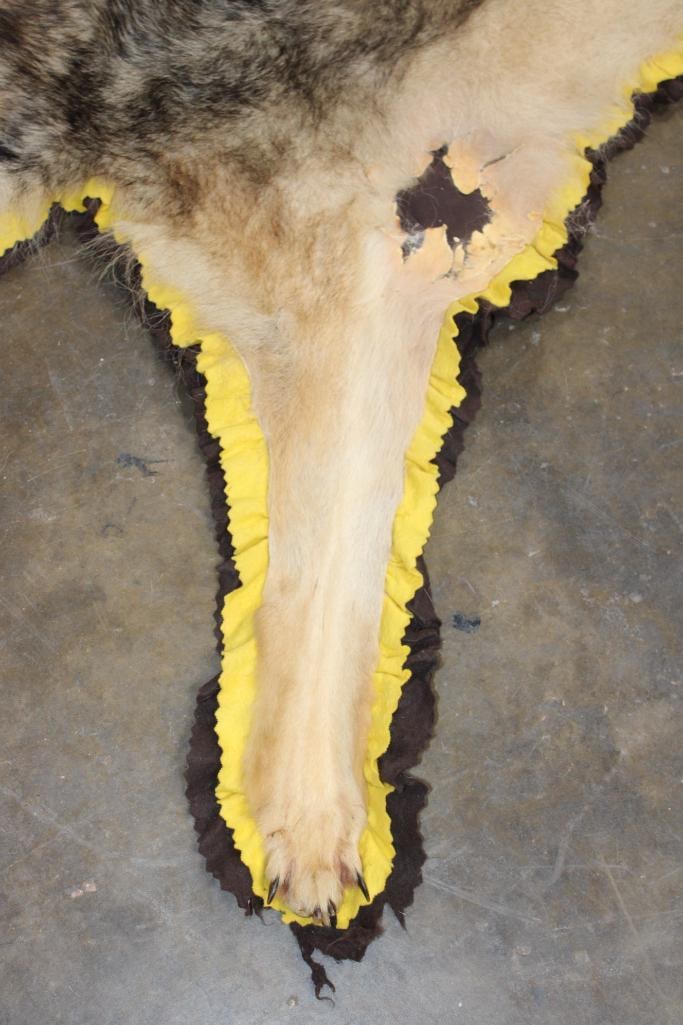 WOLF Rug with Double Felted Backing - 4