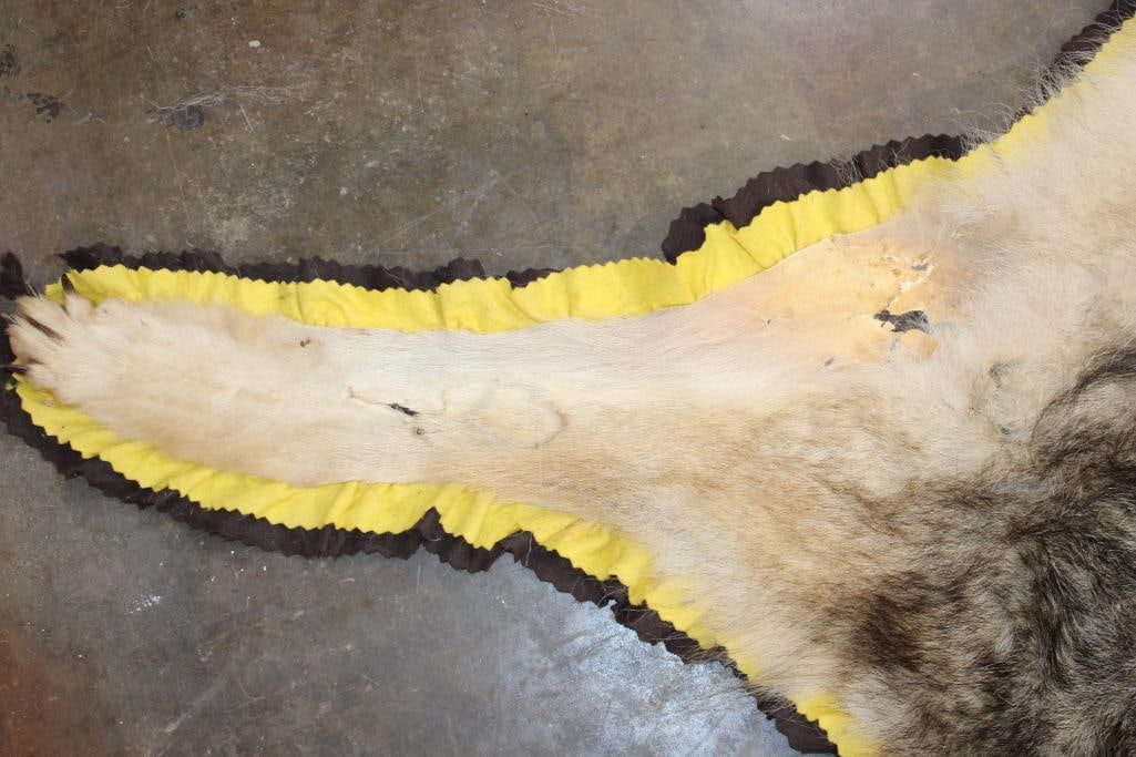 WOLF Rug with Double Felted Backing - 5