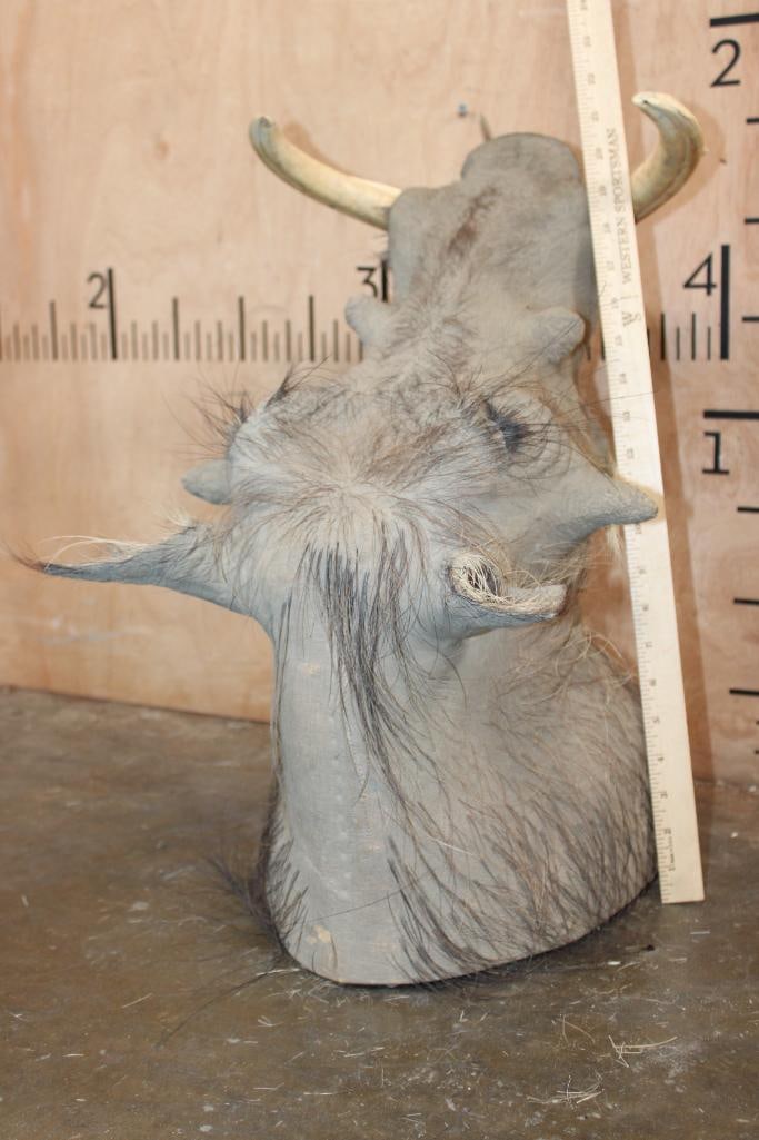WARTHOG Shoulder Mount with XL Tusks - 5