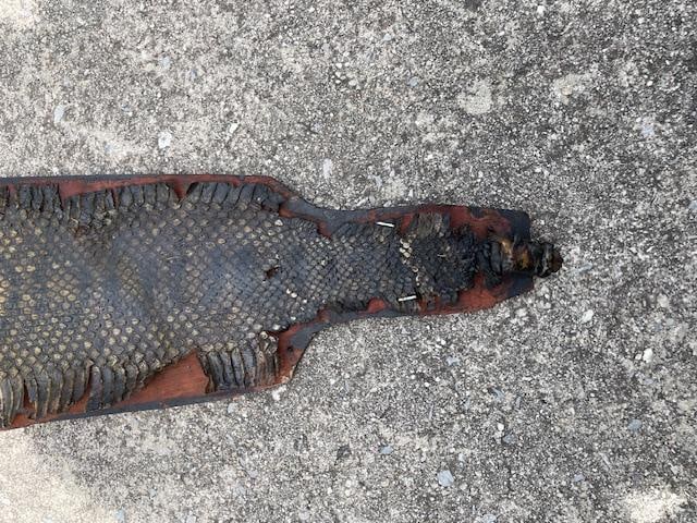 Huge RATTLESNAKE Skin on a Wood Plank Backing - 6