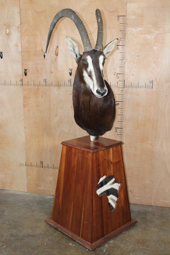 SABLE Pedestal Mount with ZEBRA Hide in Africa Silhouette Panels - 2