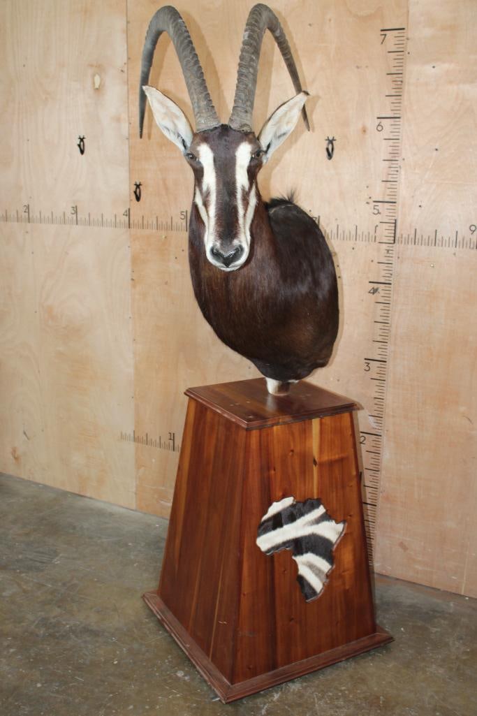SABLE Pedestal Mount with ZEBRA Hide in Africa Silhouette Panels - 3