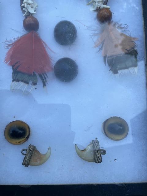 2 COUGAR Claws with Silver Caps, 3 Sets of Glass Eyes, 2 Native American Feathers and Vertebra Art - 4