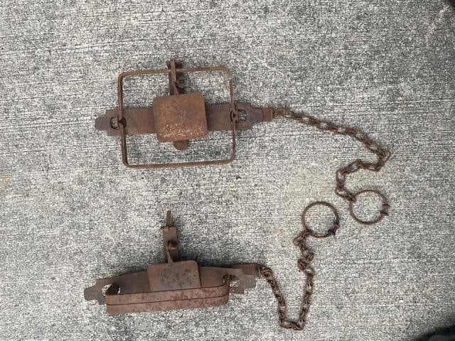 (2) Large old Blake and Lamb STEEL TRAPS for Beaver, Otter, and Coyote - 2