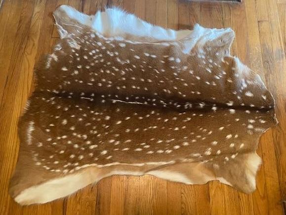 1 *New* Freshly Tanned AXIS DEER Hide or AXIS DEER Skin - 2