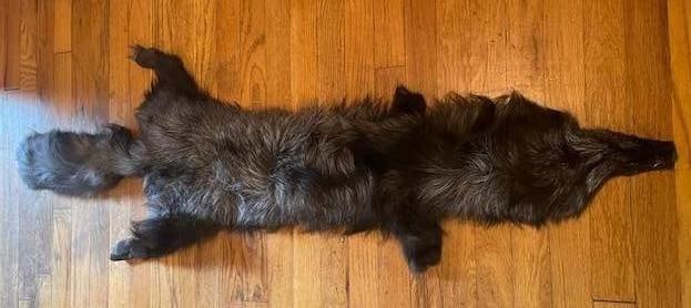 *New* XXL Soft and Tanned SILVER FOX Hide or SILVER FOX Fur - 2