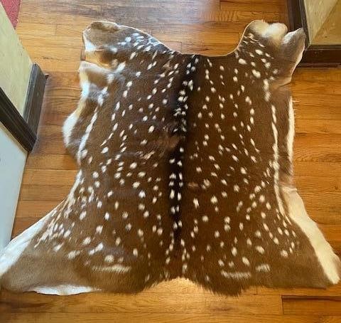 1 *New* Freshly Tanned AXIS DEER Hide or AXIS SKIN - 2