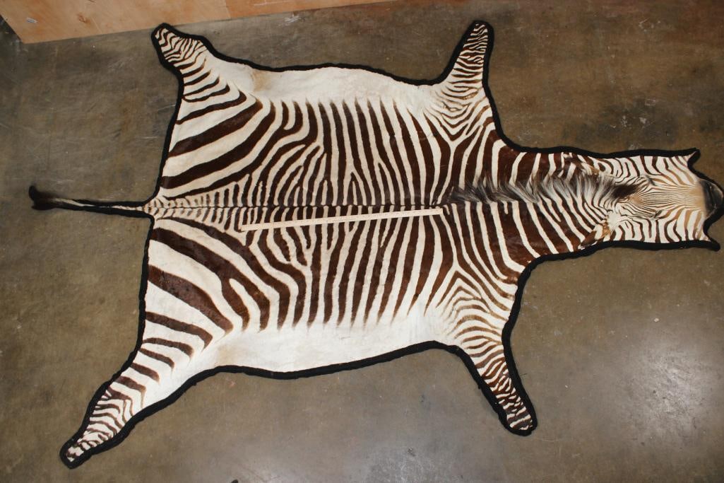 XL ZEBRA Hide Rug with a Double-felted Backing - 2