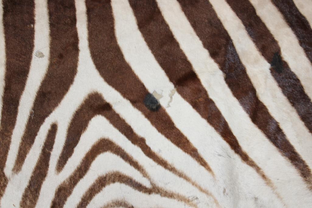XL ZEBRA Hide Rug with a Double-felted Backing - 7