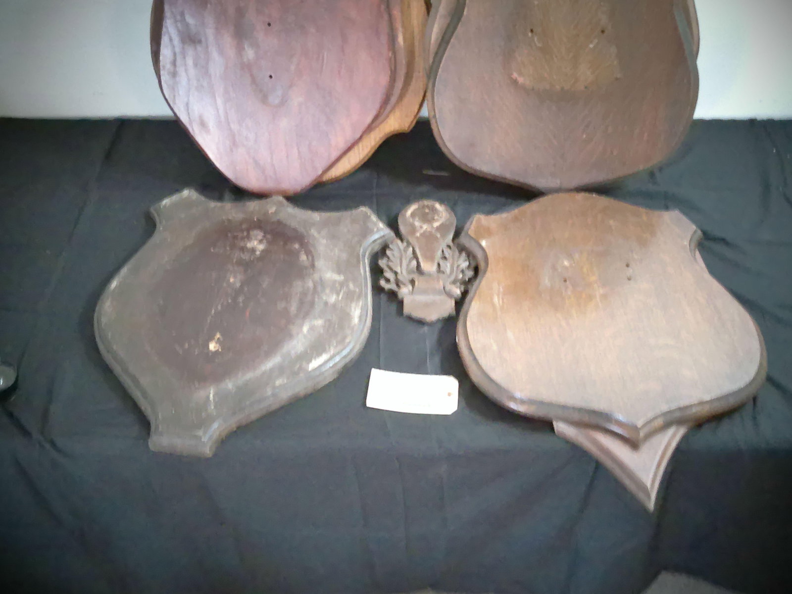 Big Lot of Assorted Vintage Wood Plaques for Taxidermy or Horn Mounts - 2