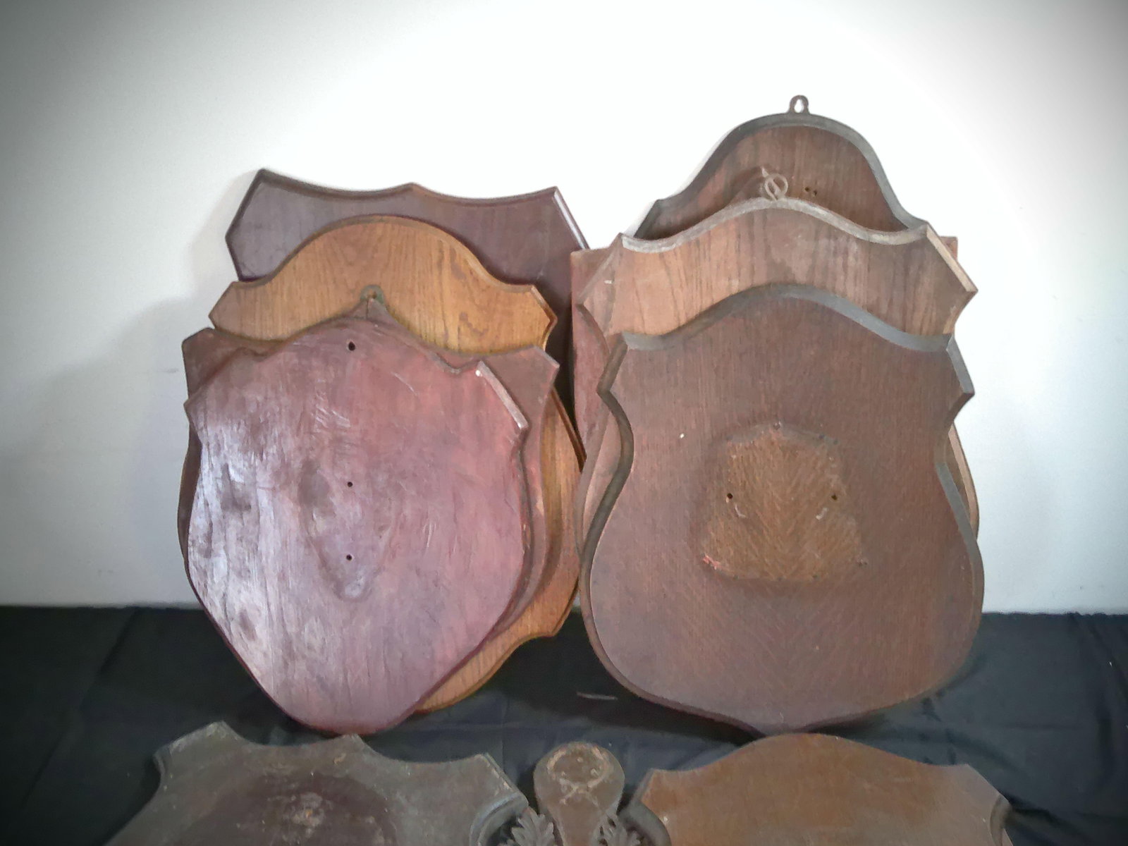 Big Lot of Assorted Vintage Wood Plaques for Taxidermy or Horn Mounts - 3