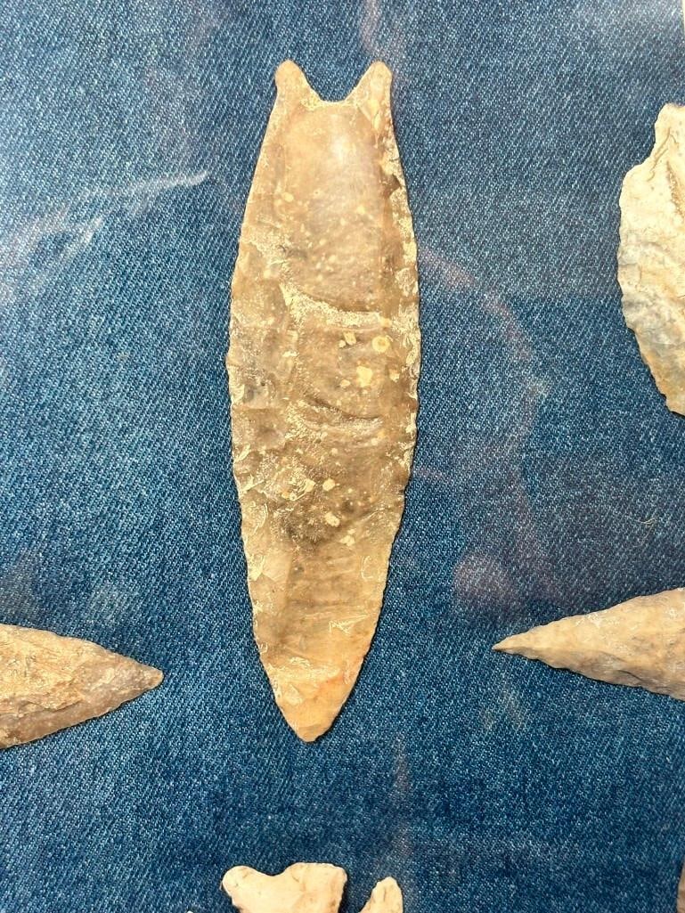 (13) Prehistoric Native American ARROWHEADS or Projectile Points in a Display Case - 3
